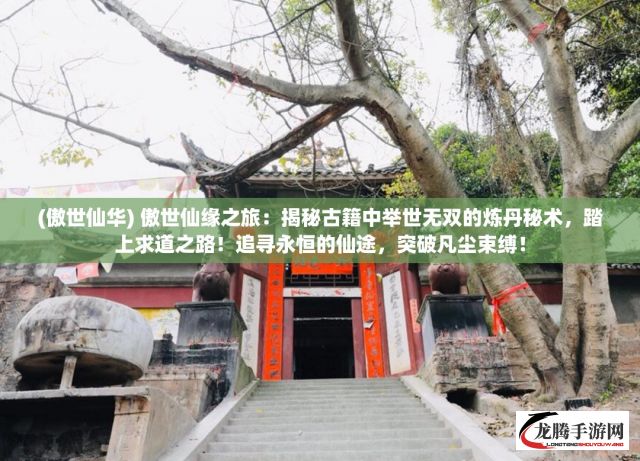 (傲世仙华) 傲世仙缘之旅：揭秘古籍中举世无双的炼丹秘术，踏上求道之路！追寻永恒的仙途，突破凡尘束缚！